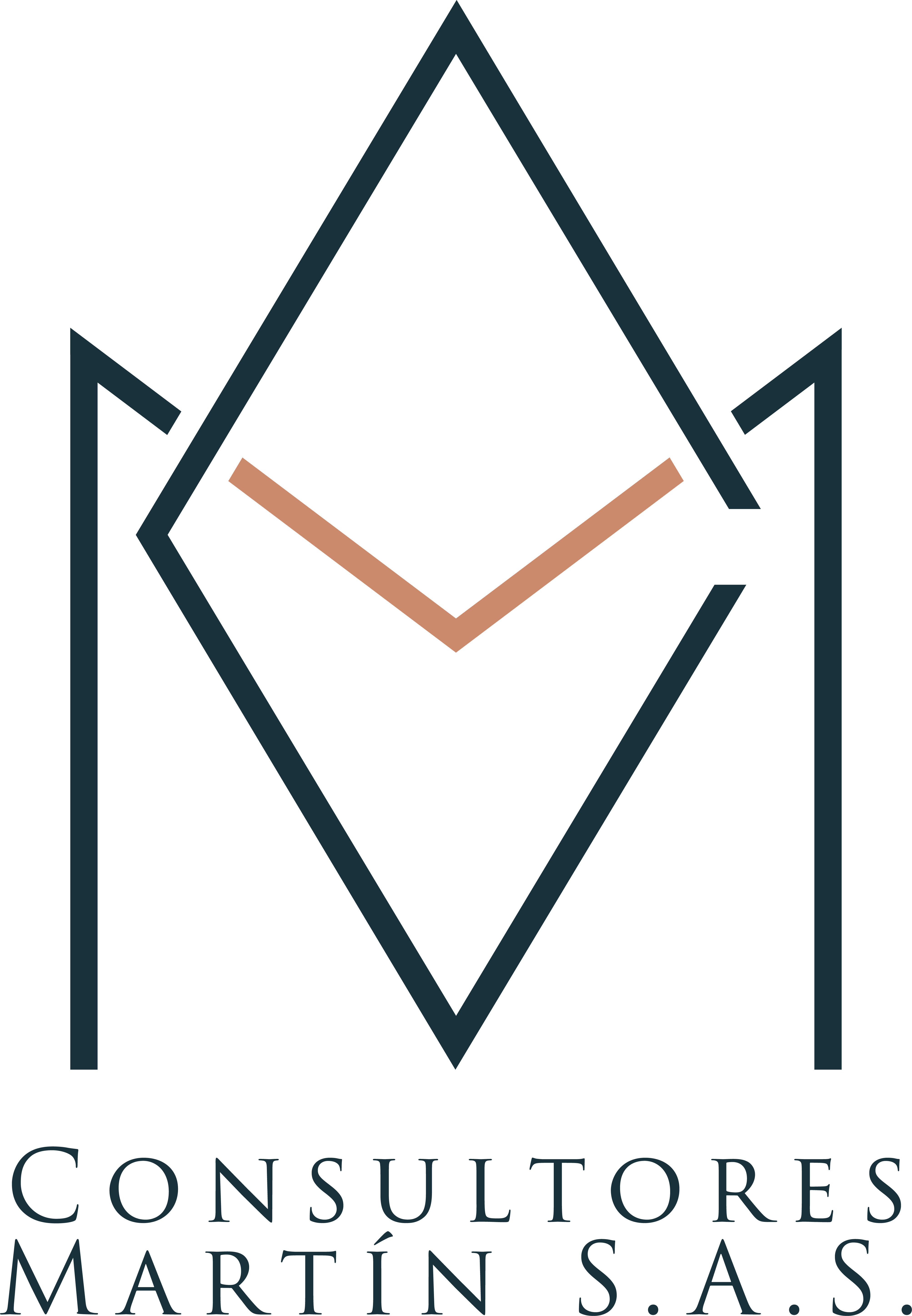 Logo Consultores Martín S.A.S.